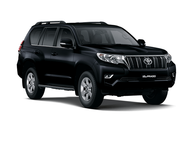 2020 PRADO VIP